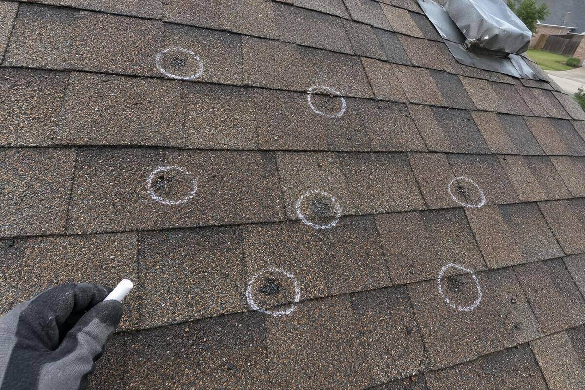 White chalk circles around dark bruise marks on a brown shingle roof